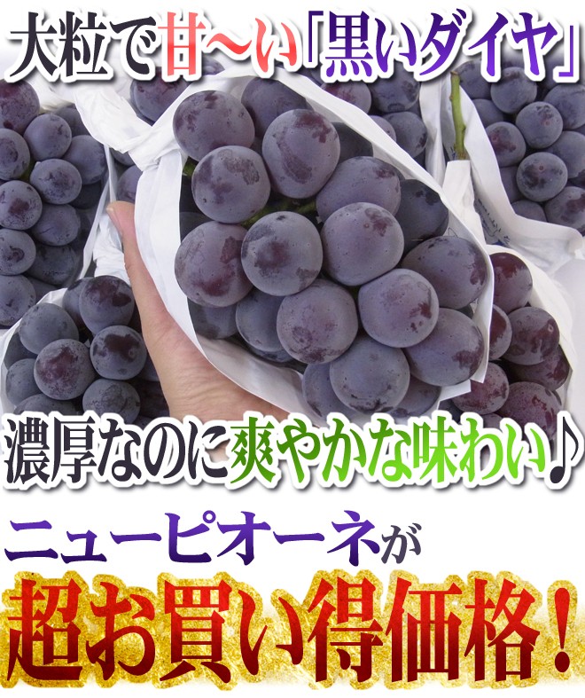 岡山県産　ニューピオーネ6房　1房約600g前後 岡山県産 ニューピオーネ🍇6房 1房約600g前後 フルーツ