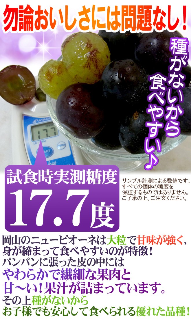 残り僅か！！衝撃価格！！岡山県産【ニューピオーネ】6〜7房 約5kg 岡山県産 ニューピオーネ | fujii farm