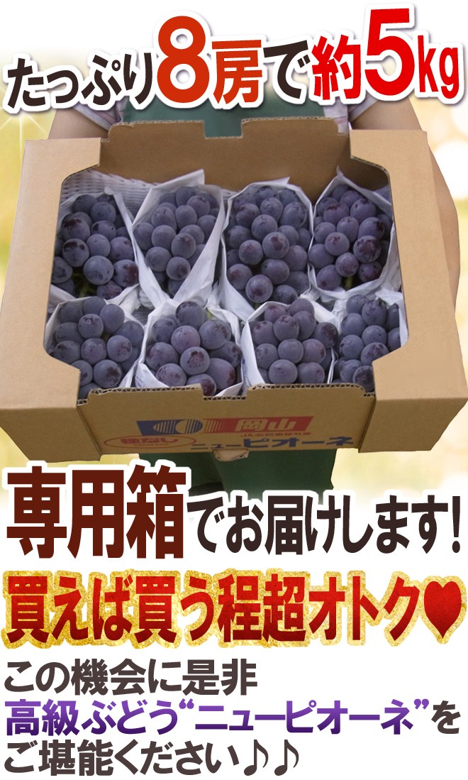 ぶどう ”岡山産 種なしニューピオーネ” 1房 約600g以上 ちょっと訳あり《4房購入で送料無料！7房購入で1房おまけ》【予約 9月以降】 :  2020033-pione600g-w : くらし快援隊 - 通販 - Yahoo!ショッピング