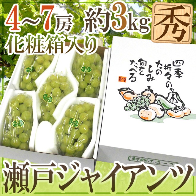 ぶどう 岡山産 ”瀬戸ジャイアンツ” 秀品 4〜7房 約3kg 化粧箱【予約 9