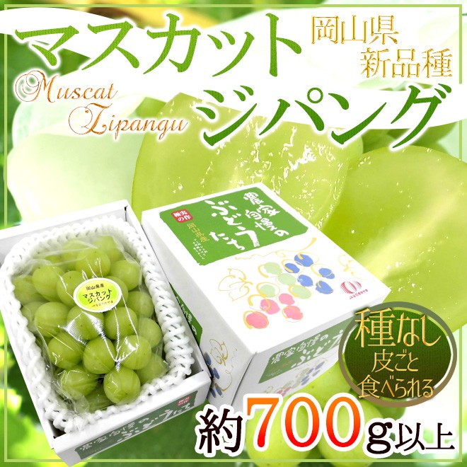 ぶどう 岡山産 ”マスカット・ジパング” 秀品 1房 約700g以上 化粧箱