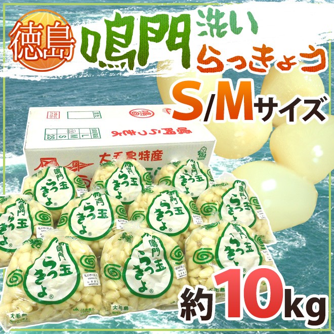 徳島 鳴門産 ”洗いらっきょう” 秀品 S/Mサイズ 約10kg【予約 5月下旬