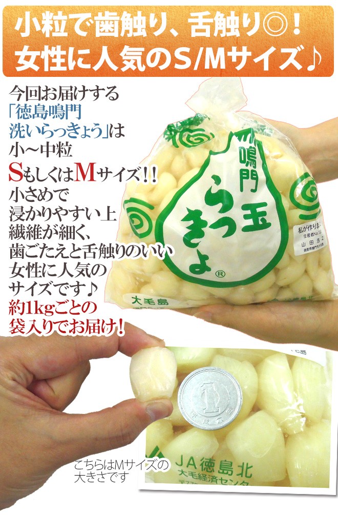 徳島 鳴門産 ”洗いらっきょう” 秀品 S/Mサイズ 約10kg【予約 5月下旬