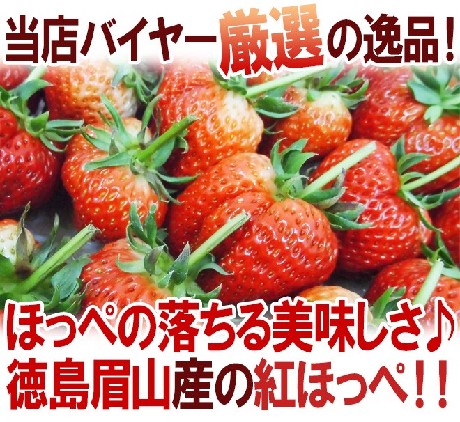 徳島県 眉山産 ”枝付き紅ほっぺ” 約1.2〜1.5kg（風袋込） 大きさ