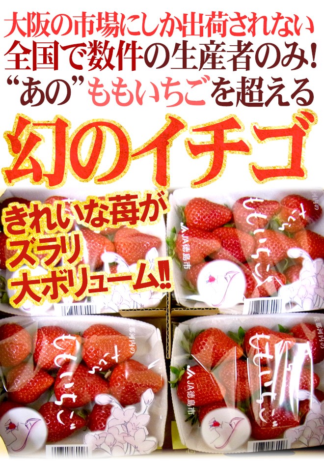 徳島県 ”佐那河内産 さくらももいちご” 秀品2L or 大粒AA 220g×4pc