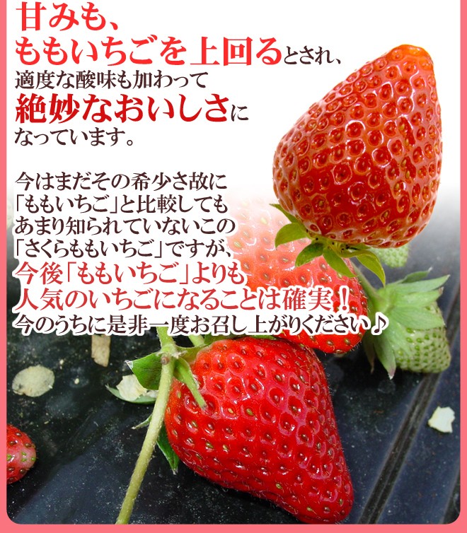 徳島県 ”佐那河内産 さくらももいちご” 秀品2L or 大粒AA 220g×4pc