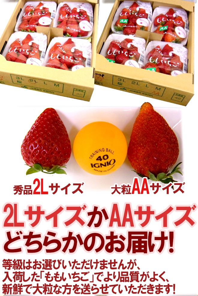 徳島県 ”佐那河内産 さくらももいちご” 秀品2L or 大粒AA 220g×4pc