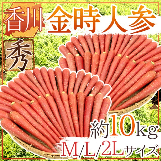 香川県 金時人参” 秀品 M/L/2L 約10kg【予約 11月下旬以降】 送料無料
