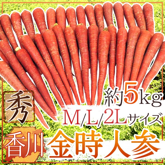 香川県 金時人参” 秀品 M/L/2L 約5kg【予約 11月下旬以降】 送料無料