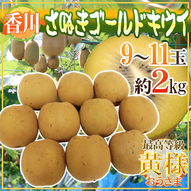 香川県 ”さぬきゴールド” 最高等級「黄様」 超大玉4L以上 9〜11玉 約2kg【予約 10月下旬以降】 送料無料  :2029037-sanukig-o2kg:くらし快援隊 - 通販 - Yahoo!ショッピング