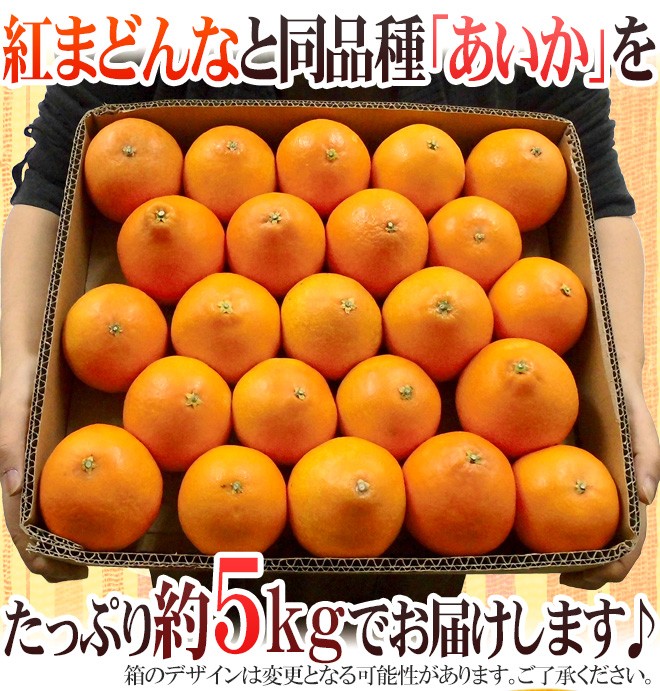 愛媛産 紅まどんなと同じ品種 ”あいか” 訳あり 約5kg 大きさおまかせ【予約 11月末以降】 送料無料