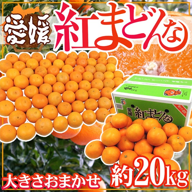 愛媛産 紅まどんな” 約20kg 大きさおまかせ ご家庭用【予約 12月以降
