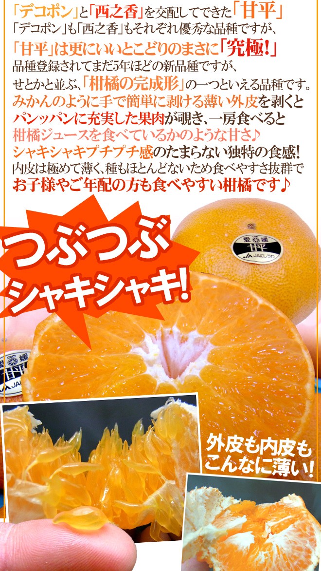 愛媛産 ”甘平” 秀品 5L〜6L 特大玉6〜7玉 約3kg 化粧箱【予約 1月中旬