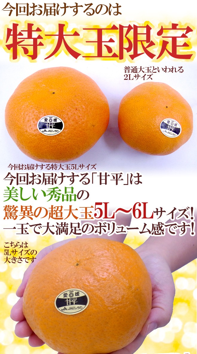 特選品「甘平」8玉　化粧箱入り 先行予約】＼超売れ筋商品！／ 甘平（贈答用）化粧箱 4L～2L 8～12玉
