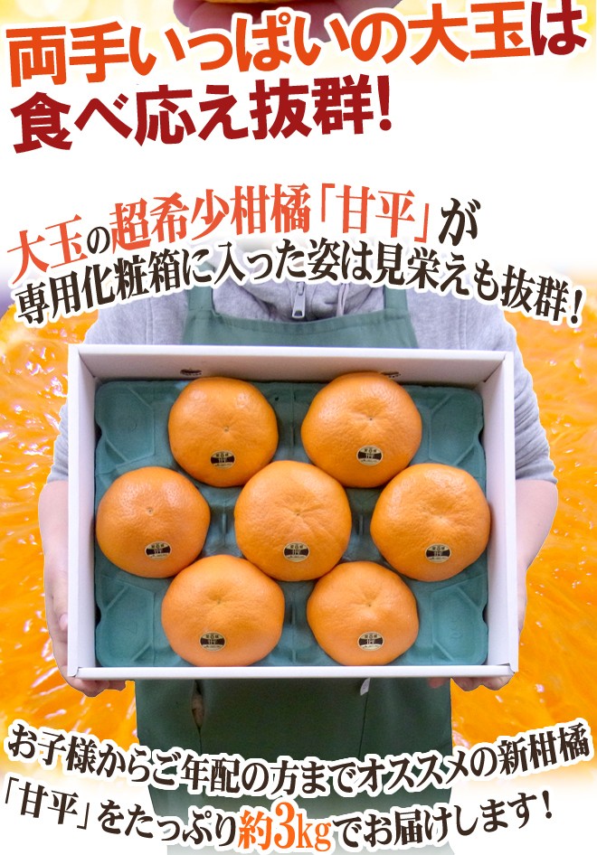 特選品「甘平」8玉　化粧箱入り 愛媛産 ”甘平” 秀品 5L〜6L 特大玉6〜7玉 約3kg 化粧箱【予約 1月中旬