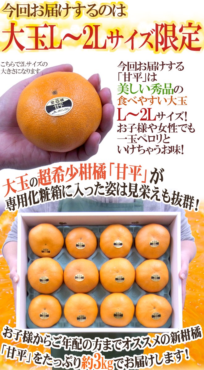 愛媛産 ”甘平” 秀品 L〜2L 12〜15玉 約3kg 化粧箱【予約 1月中旬以降