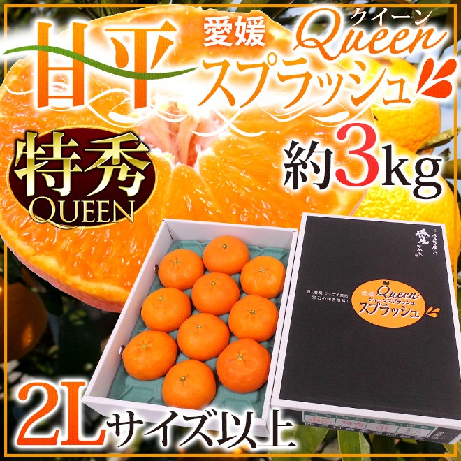 愛媛産 ”甘平 愛媛Queenスプラッシュ” 特秀品 2Lサイズ以上 8〜12玉 約