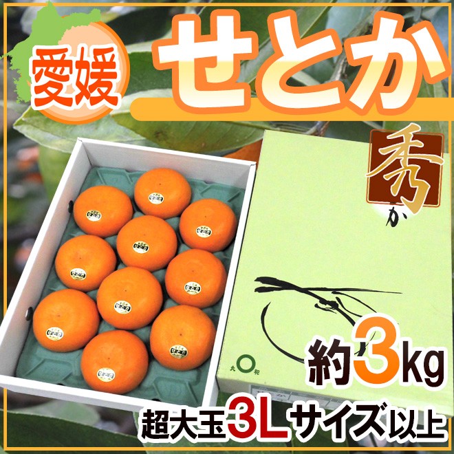 愛媛産 ”せとか” 超大玉3Lサイズ以上 約3kg 化粧箱【予約 1月末以降