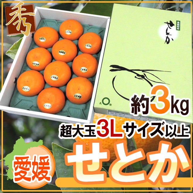 愛媛産 ”せとか” 超大玉3Lサイズ以上 約3kg 化粧箱【予約 1月末以降