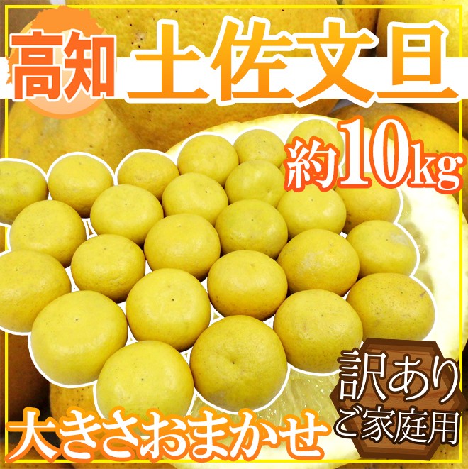 高知産 土佐文旦” 訳あり 約10kg 大きさおまかせ【予約 2月以降】 送料