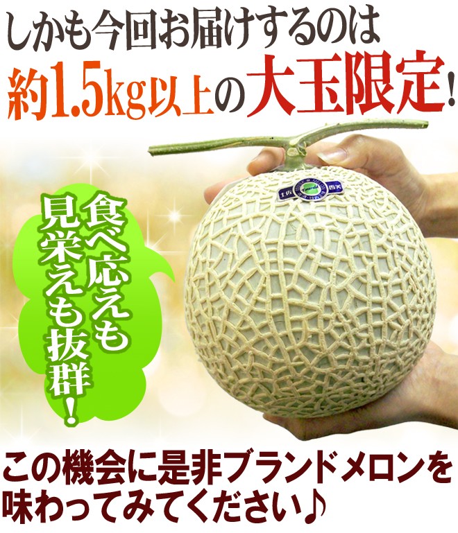 楽天市場】メロン エメラルドメロン 秀品 1.2kg×1玉 高知県産