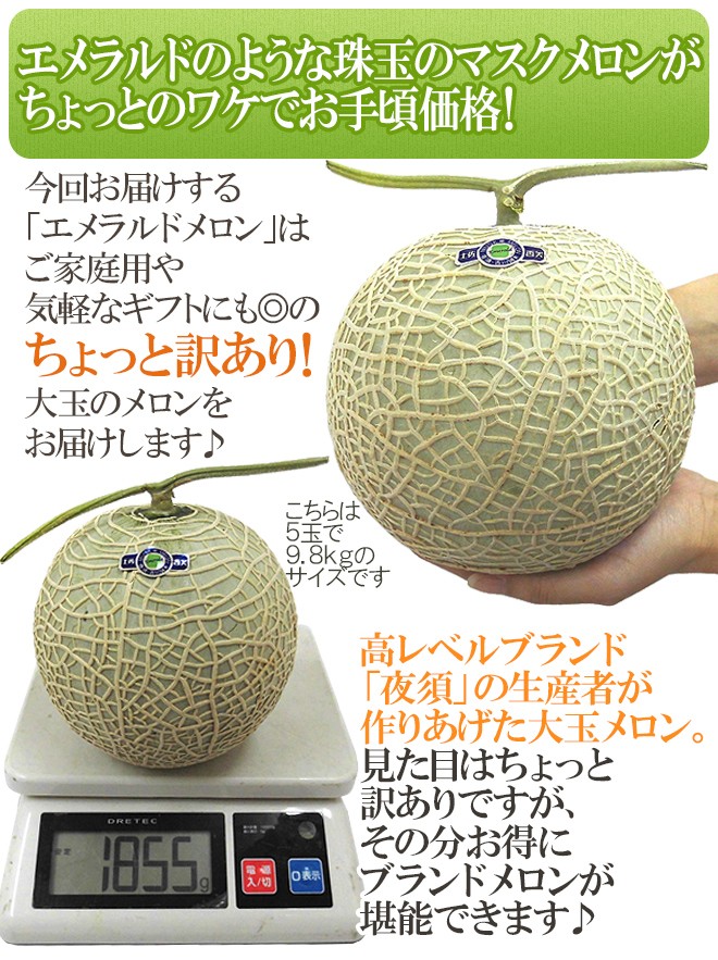 メロン 高知県夜須産 ”エメラルドメロン” ちょっと訳あり 大玉 5
