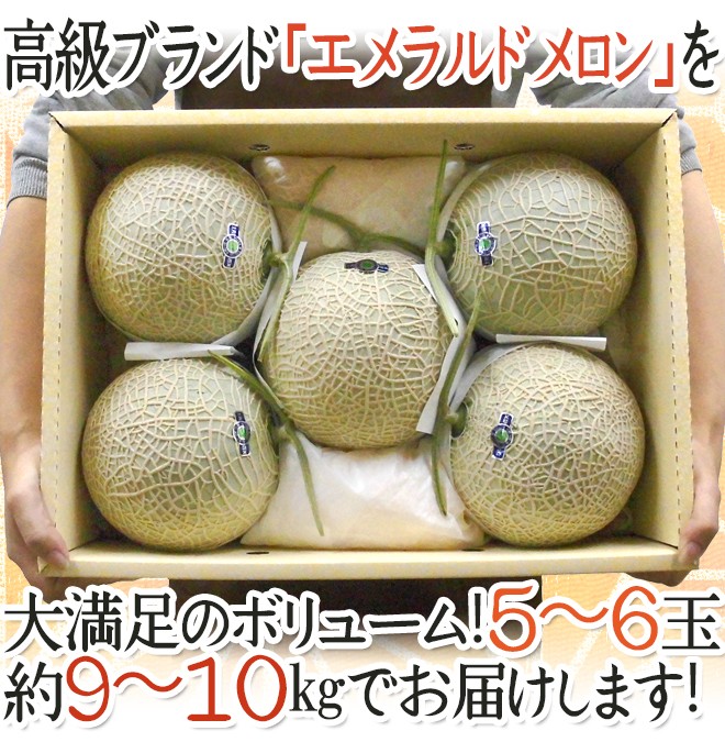 メロン 高知県夜須産 ”エメラルドメロン” ちょっと訳あり 大玉 5
