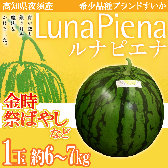 高知県夜須町 ”ルナピエナ” 1玉 約6〜7kg 金時、祭ばやしなど【予約 5