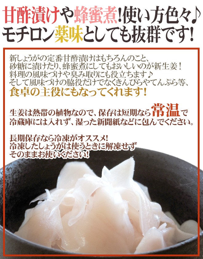 高知・和歌山県産 ”新しょうが” 秀品 Lサイズ 約2kg【予約 3月下旬以降 