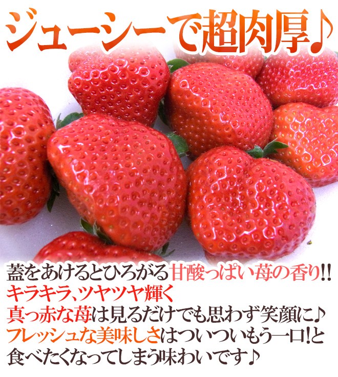 福岡産 博多 あまおういちご 等級g グランデ 1箱 2パック入り 1パック約270g 予約 12月 4月 送料無料 Amaog2pcy くらし快援隊 通販 Yahoo ショッピング