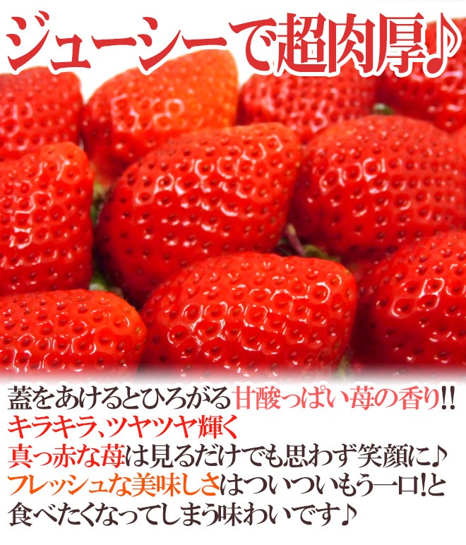 福岡産いちご ”博多あまおう” 秀品 L/2Lサイズ 約270g×4パック×《4箱