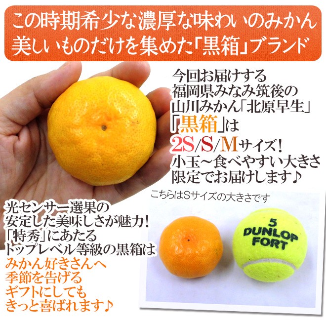 みかん 福岡 JAみなみ筑後 ”山川みかん 北原早生” 黒箱等級 2S/S/M