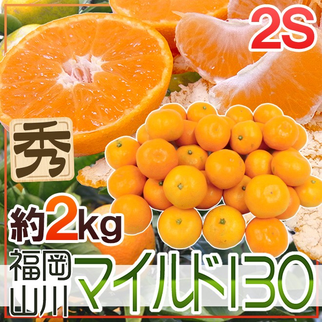 みかん 福岡産 山川みかん ”マイルド130” 秀品 小粒2Sサイズ 約2kg【予約 11月以降】 送料無料