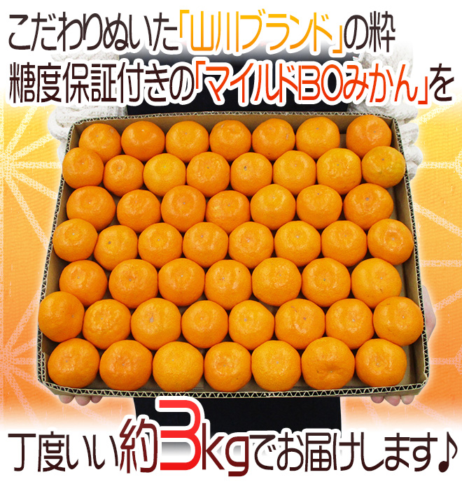 【MRQ】 福岡産 山川マイルド130みかん sサイズ2kg×５箱 お歳暮 福岡産 山川マイルド130みかん 2kg お歳暮 専用箱付 - メルカリ