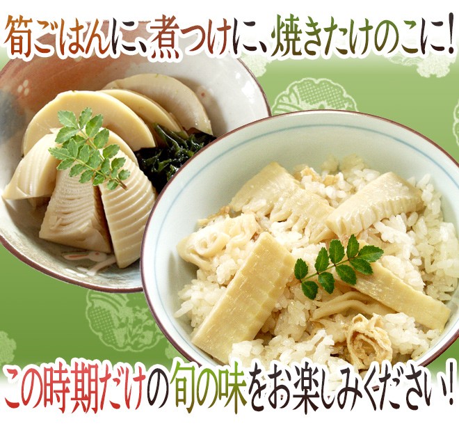 福岡 合馬産 ”たけのこ” 3〜8本 約4kg 化粧箱 最高等級 黄テープ限定
