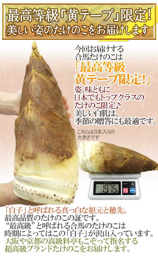福岡 合馬産 ”たけのこ” 3〜8本 約4kg 化粧箱 最高等級 黄テープ