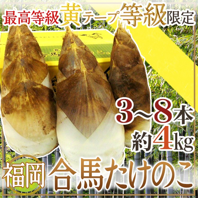 合馬たけのこ 13本 2kg 福岡県産 楽天市場】福岡 合馬産 ”たけのこ” 2〜8本 約4kg 化粧箱入り 等級 黄