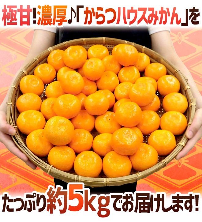 贈物 甘～い 訳あり ハウスみかん 5kg e
