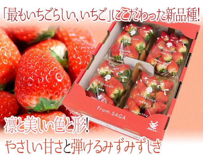 佐賀 ”いちごさん” ちょっと訳あり 約250g×4パック 大きさおまかせ【予約 12月以降】 送料無料