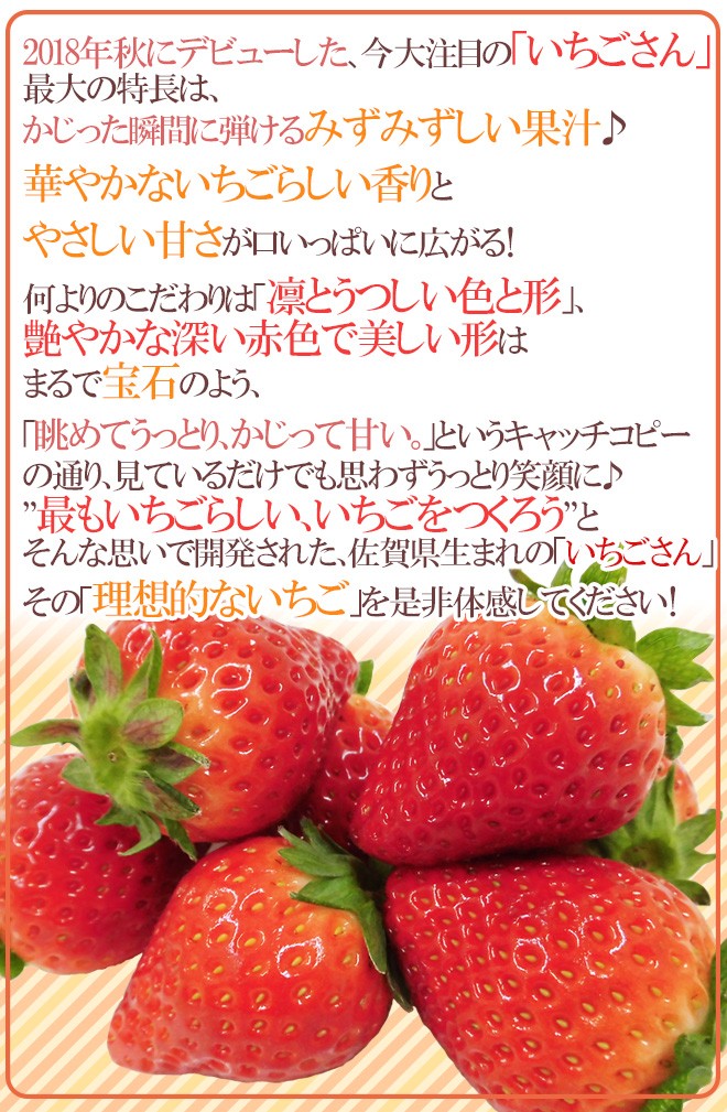 佐賀 ”いちごさん” ちょっと訳あり 約250g×4パック 大きさおまかせ【予約 12月以降】 送料無料