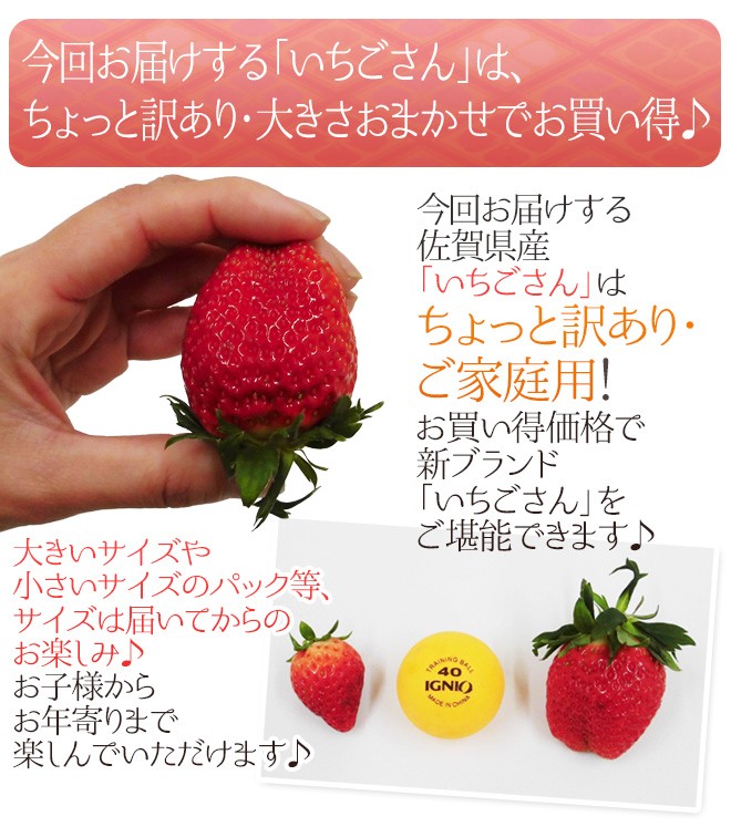 佐賀 ”いちごさん” ちょっと訳あり 約250g×4パック 大きさおまかせ【予約 12月以降】 送料無料