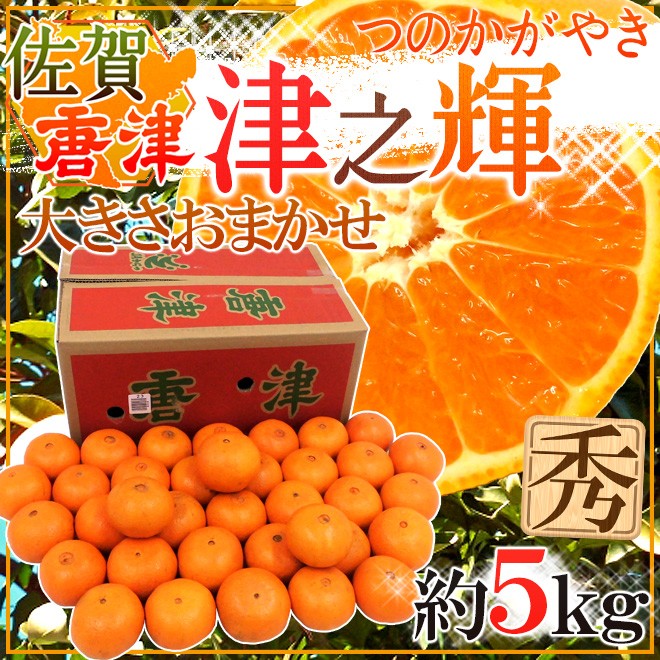佐賀県 JAからつ ”津之輝” 秀品 約5kg 大きさおまかせ【予約 1月中旬