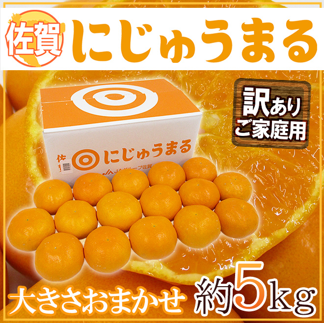 佐賀産 ”にじゅうまる” 約5kg 大きさおまかせ ご家庭用【予約 3月以降