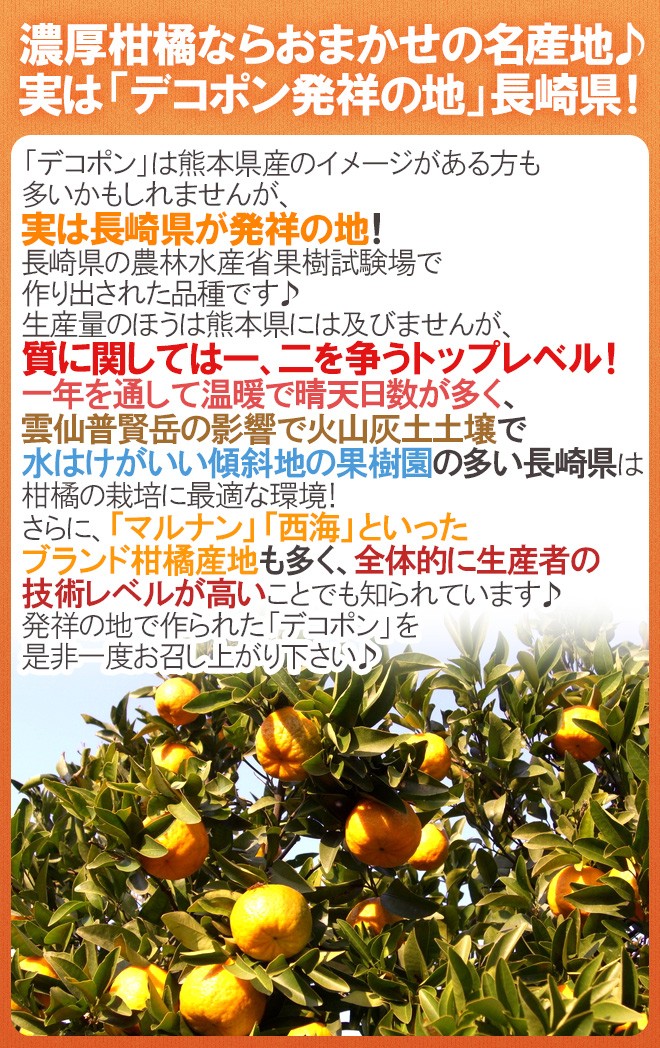 長崎産 ”デコポン” 秀品 6〜15玉前後 約3kg【予約 1月下旬以降】 送料