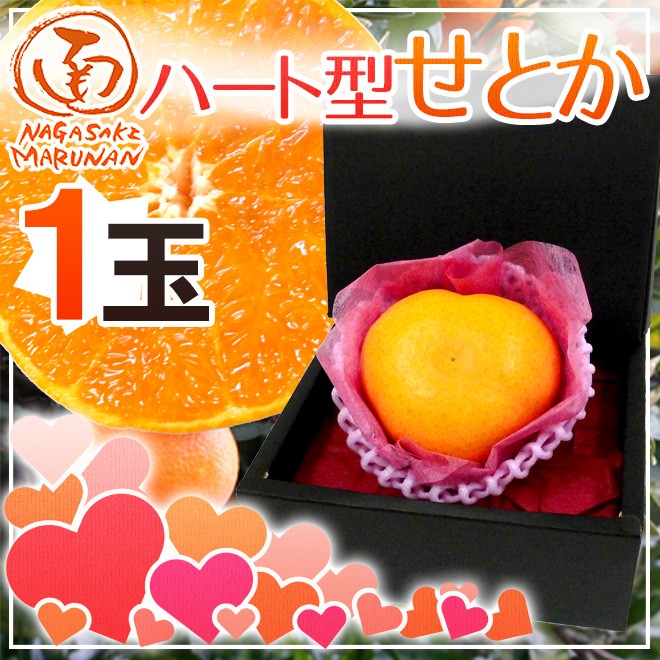 送料無料】極早生みかん(YN26）_サイズ混合10kg 高銀みかん園
