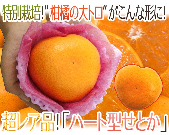 みかん🍊 on X: 