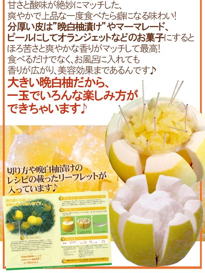 楽天市場】熊本県八代特産 ”晩白柚” ばんぺいゆ 秀品 Mサイズ 6玉 約7.2kg 化粧箱【予約 12月以降】 送料無料 :  くらし快援隊〜母の日父の日お中元