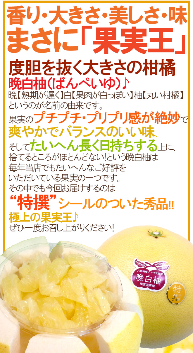 熊本県八代特産 晩白柚” ばんぺいゆ 秀品 Lサイズ 約1.5〜1.8kg【予約