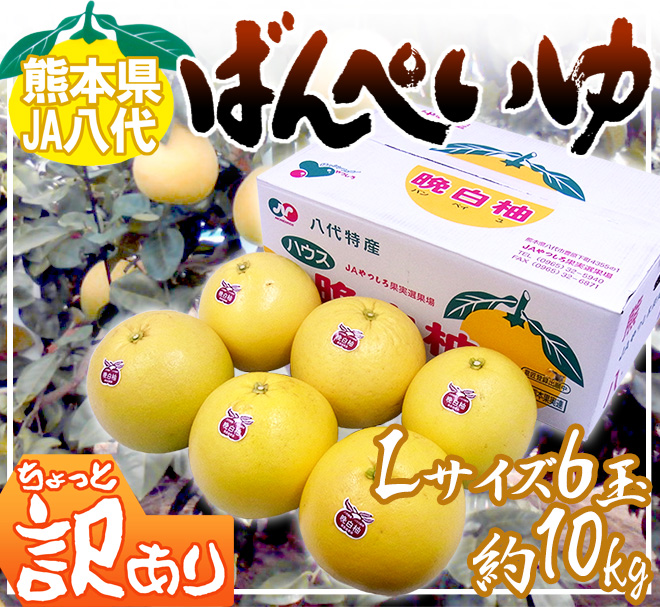 熊本県八代特産 ”晩白柚” ばんぺいゆ ちょっと訳あり Lサイズ 6玉 約
