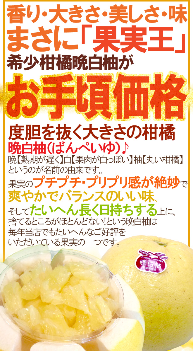 熊本県八代特産 ”晩白柚” ばんぺいゆ ちょっと訳あり Lサイズ 6玉 約
